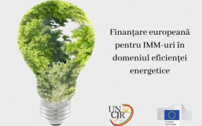 Finanțare europeană pentru IMM-uri în domeniul eficienței energetice