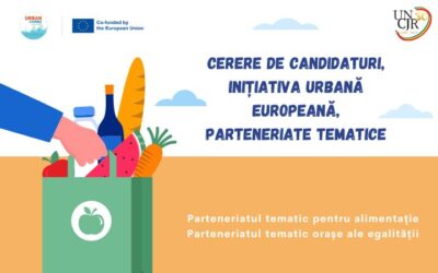 Cerere de candidaturi, Inițiativa Urbană Europeană, parteneriate tematice