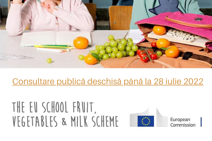 Consultare publică privind Programul UE pentru școli